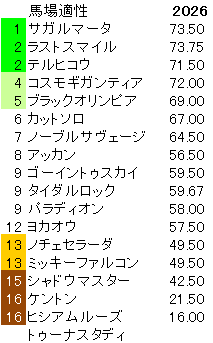 2026　青葉賞　馬場適性指数