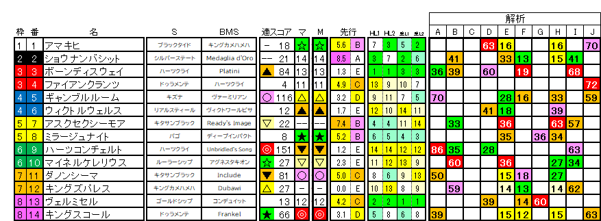 2026　目黒記念　ラップ適性
