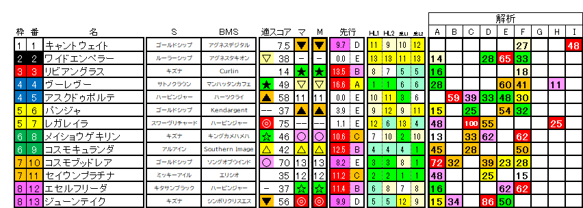 2026 オールカマー ラップ適性