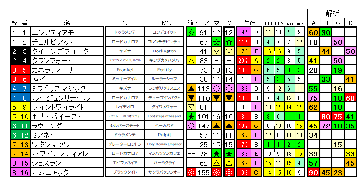 2026　アイルランドＴ　ラップ適性